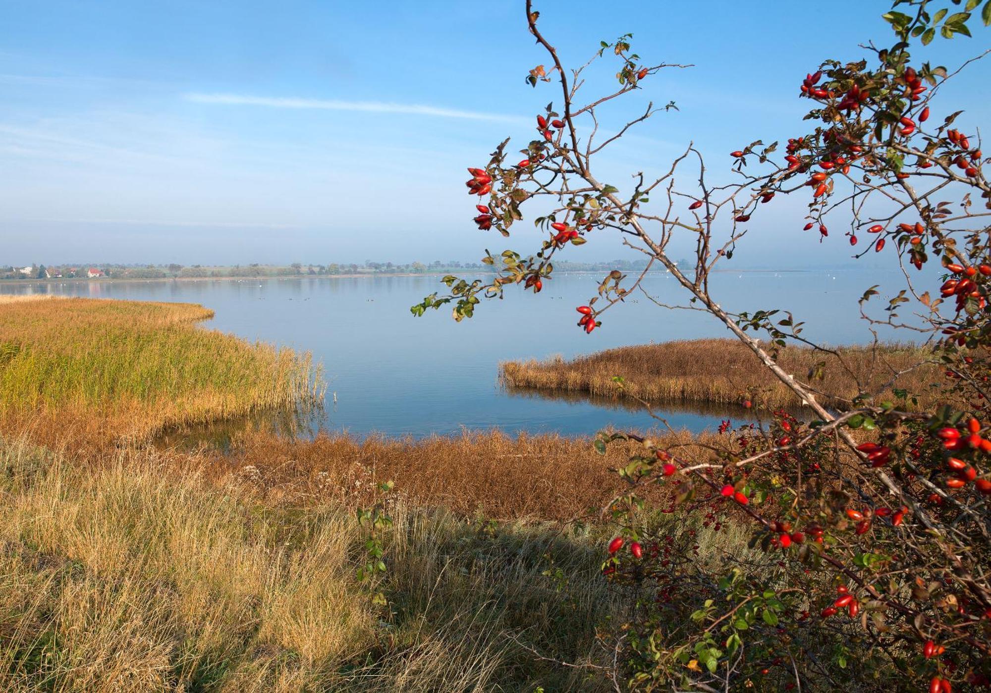 Ferienanlage Poschmann Strohboden Insel Poel Exterior foto