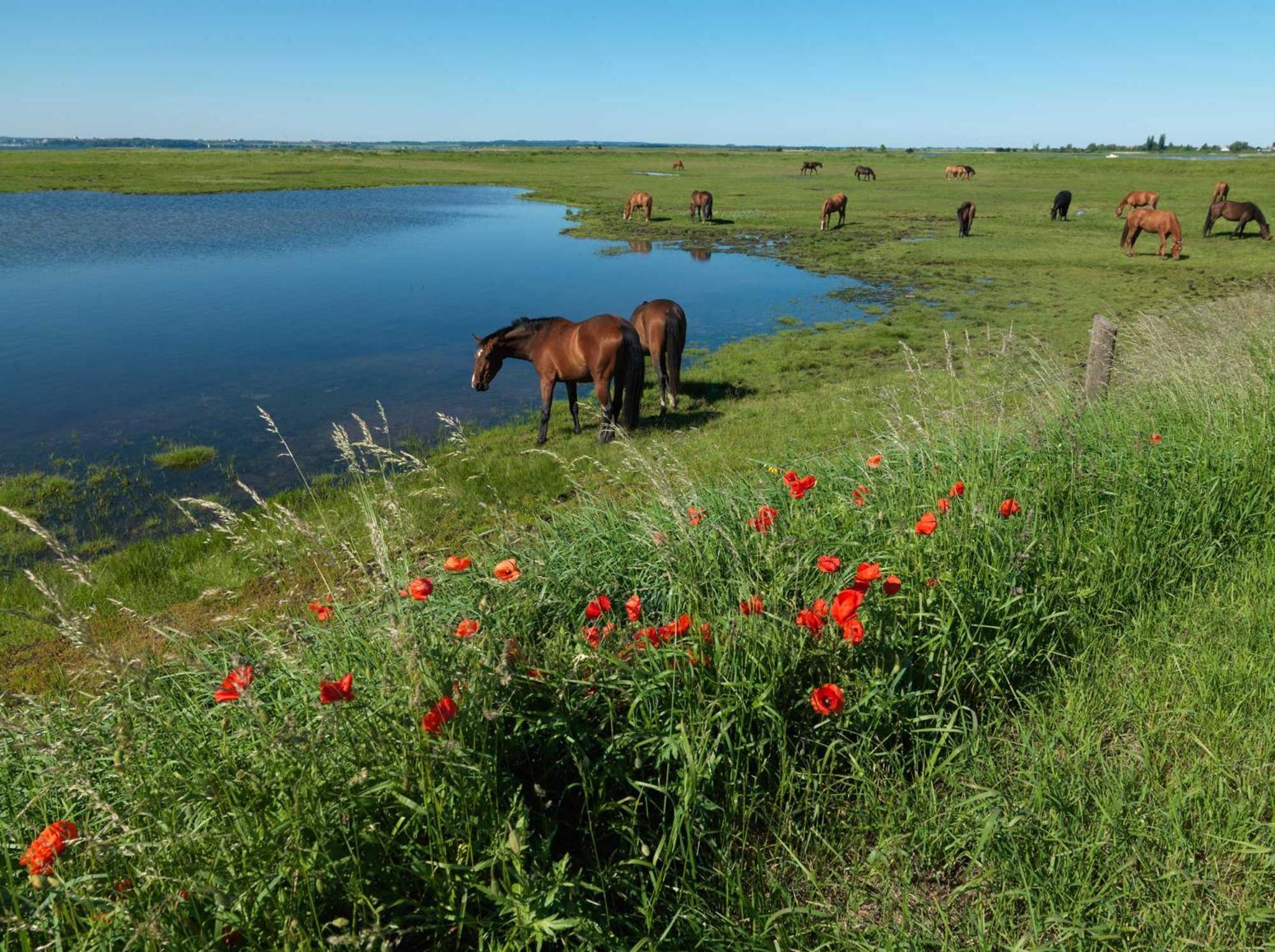 Ferienanlage Poschmann Strohboden Insel Poel Exterior foto