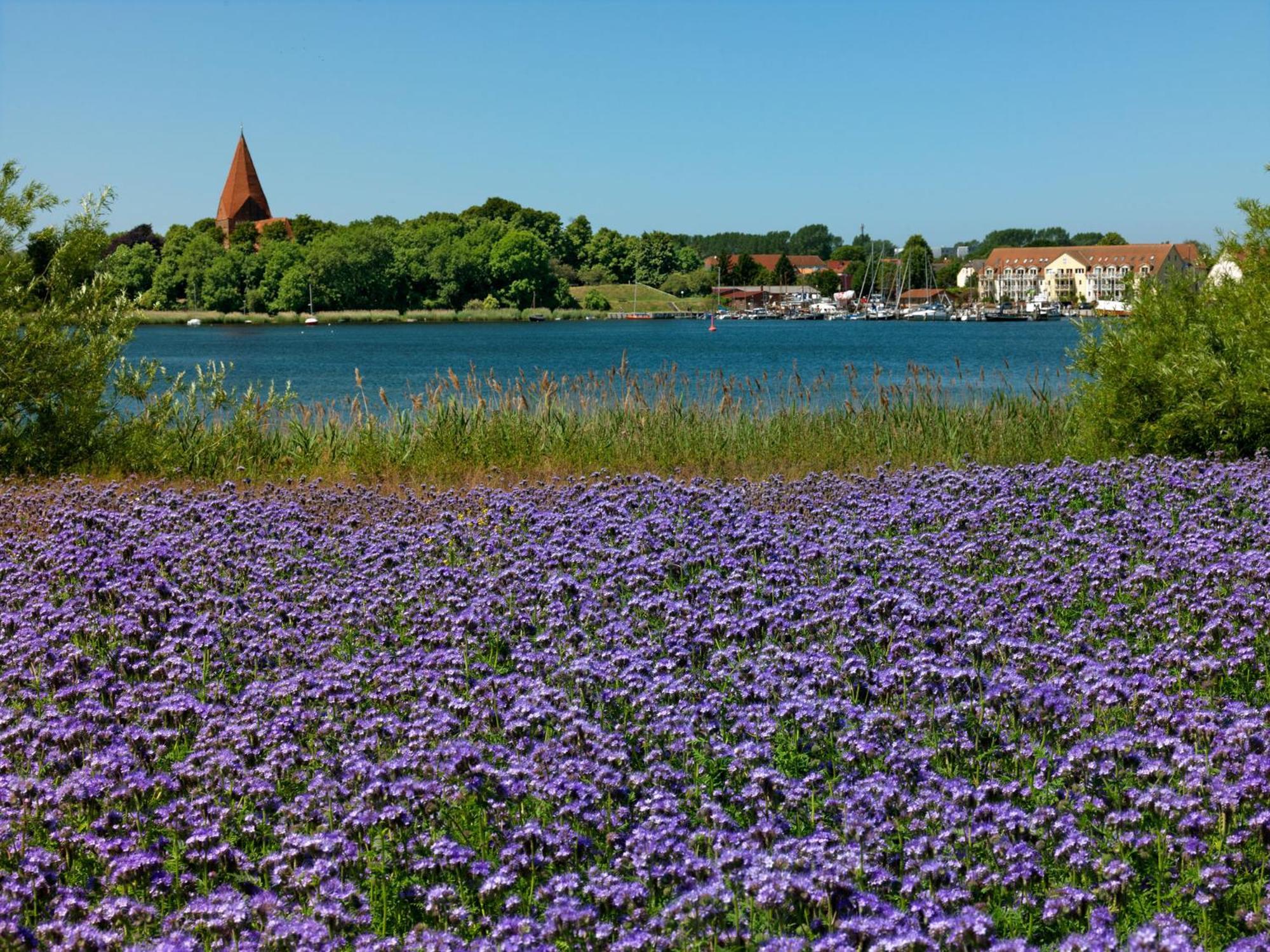 Ferienanlage Poschmann Strohboden Insel Poel Exterior foto