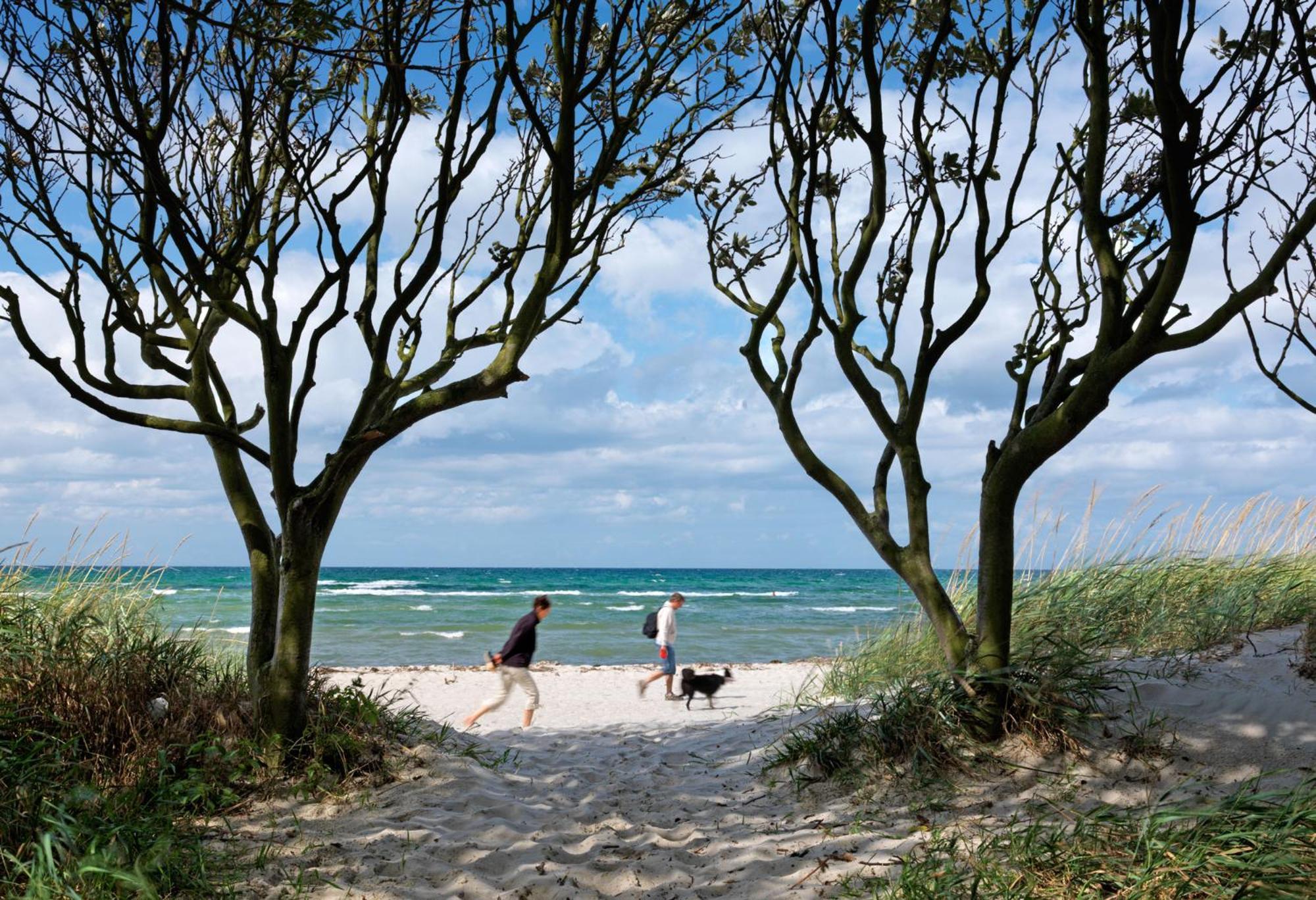 Ferienanlage Poschmann Strohboden Insel Poel Exterior foto